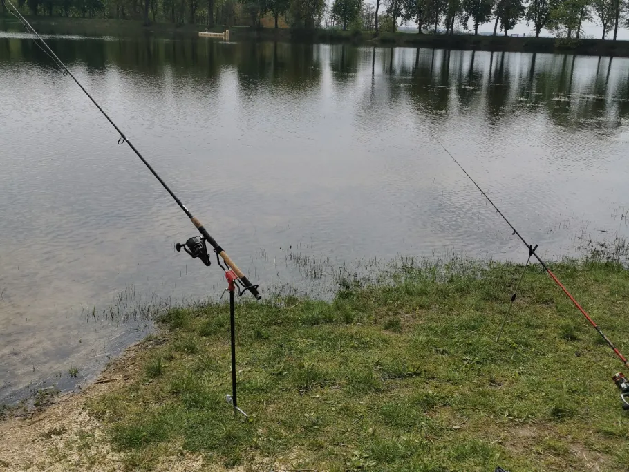 Herthasee (Holzappel) angeln