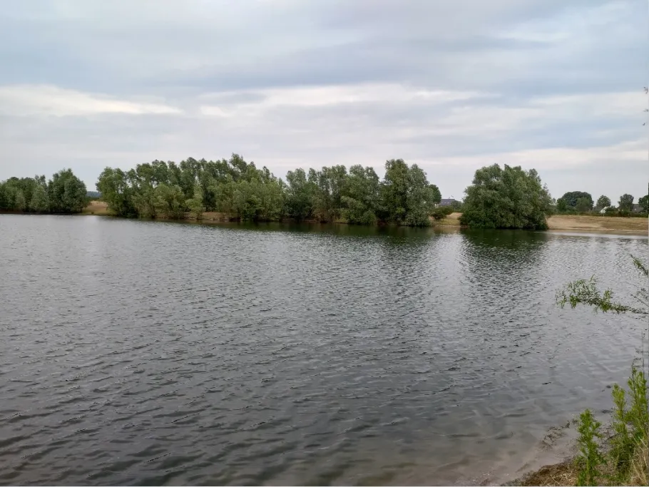 Kleiner Pfeifer (Emmericher Eyland) angeln