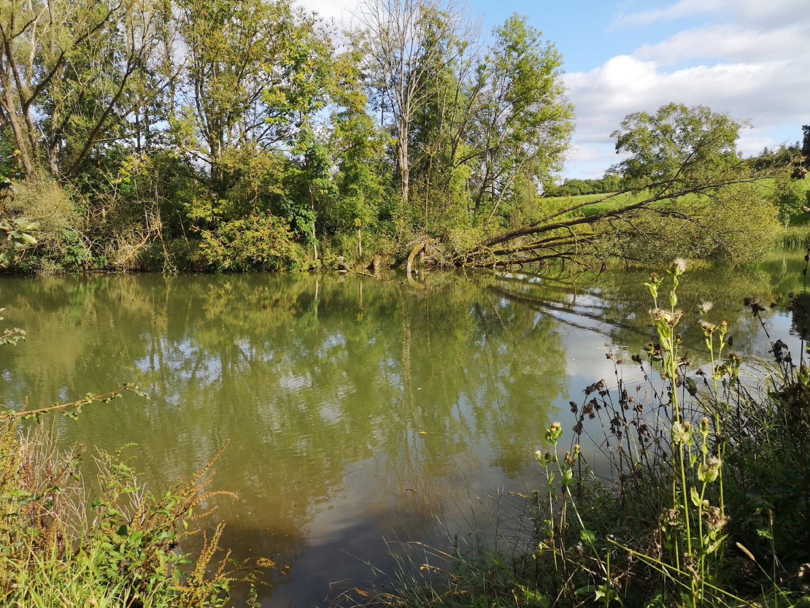 Angeln in Ummerstadt