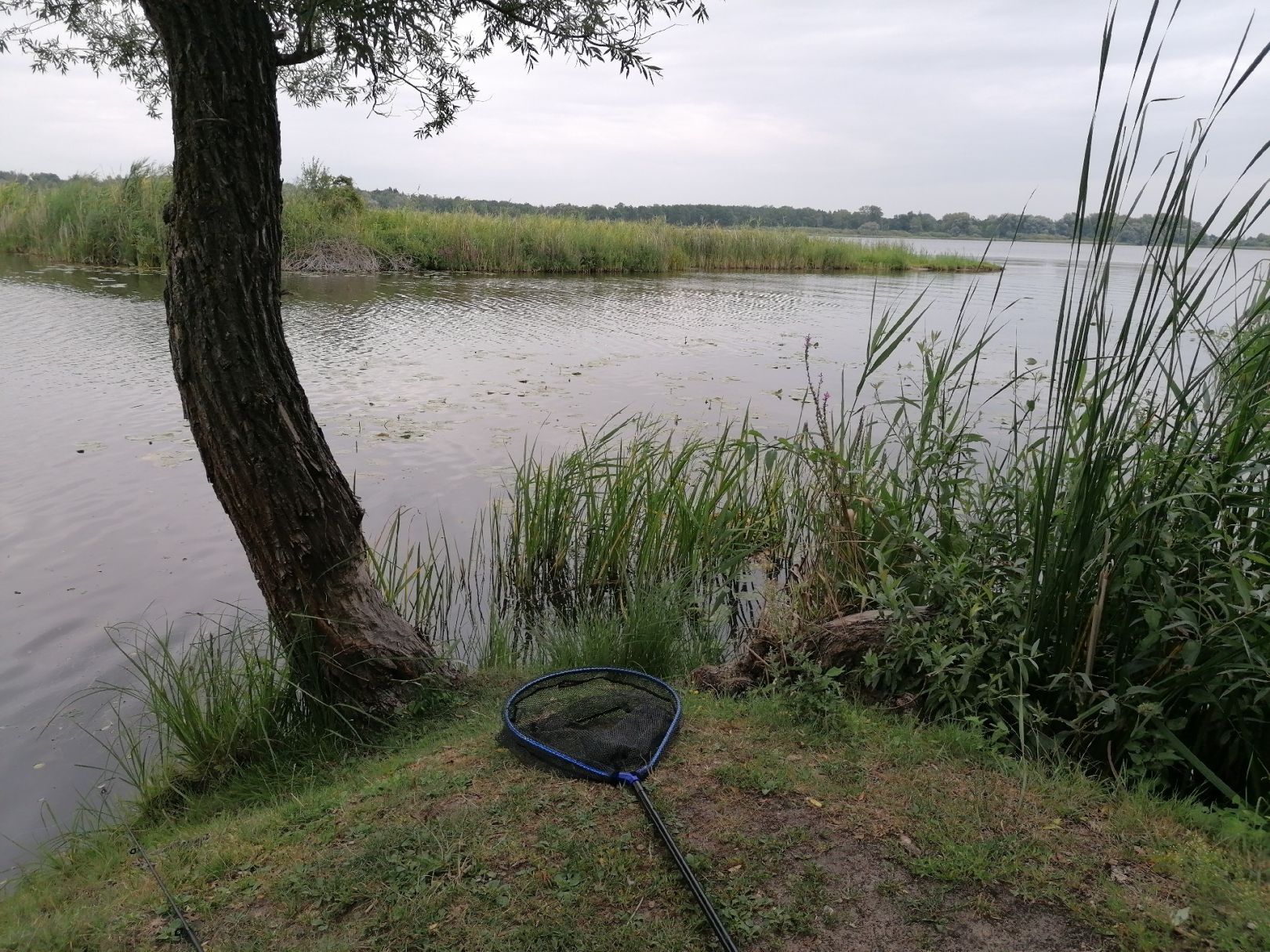 Beetzsee (Brandenburg/Havel) angeln