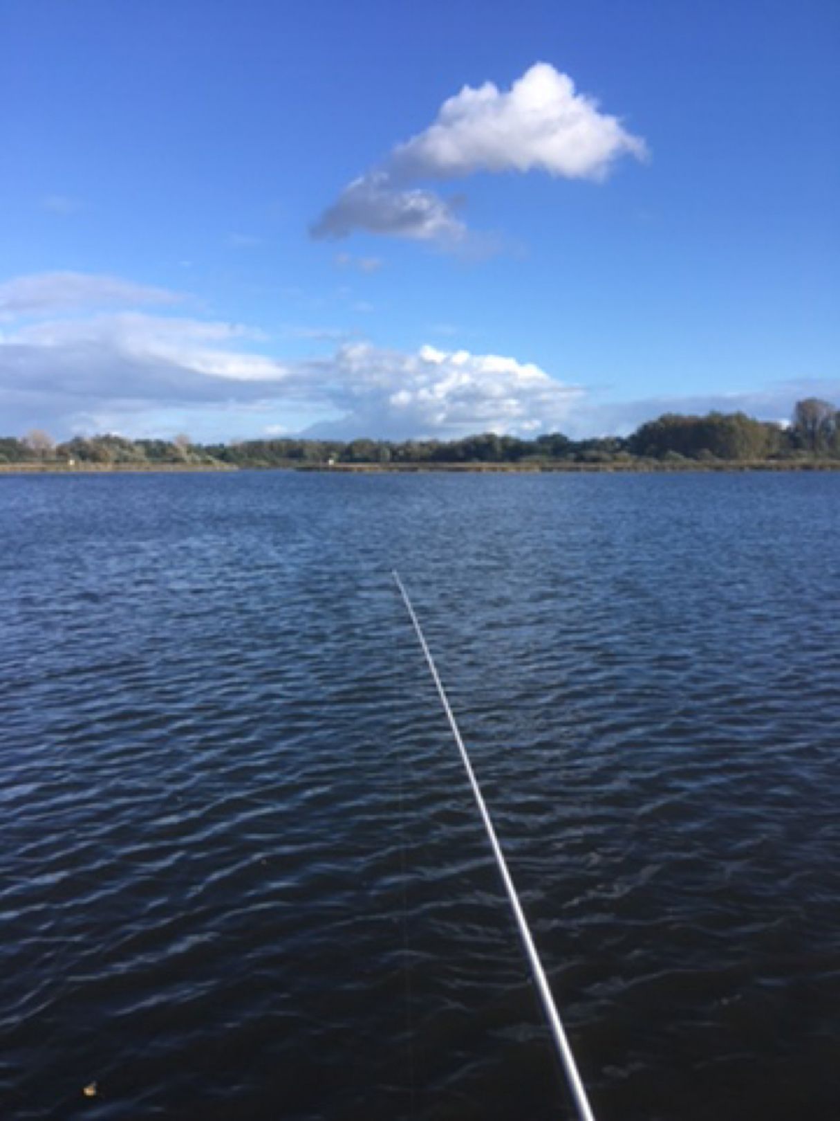 Beetzsee (Brandenburg/Havel) angeln