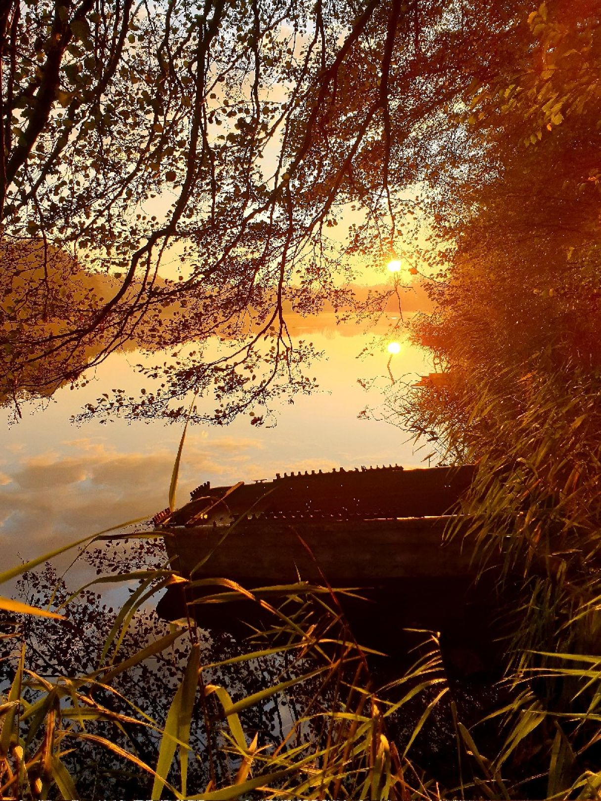Krummer See (Königs Wusterhausen) angeln