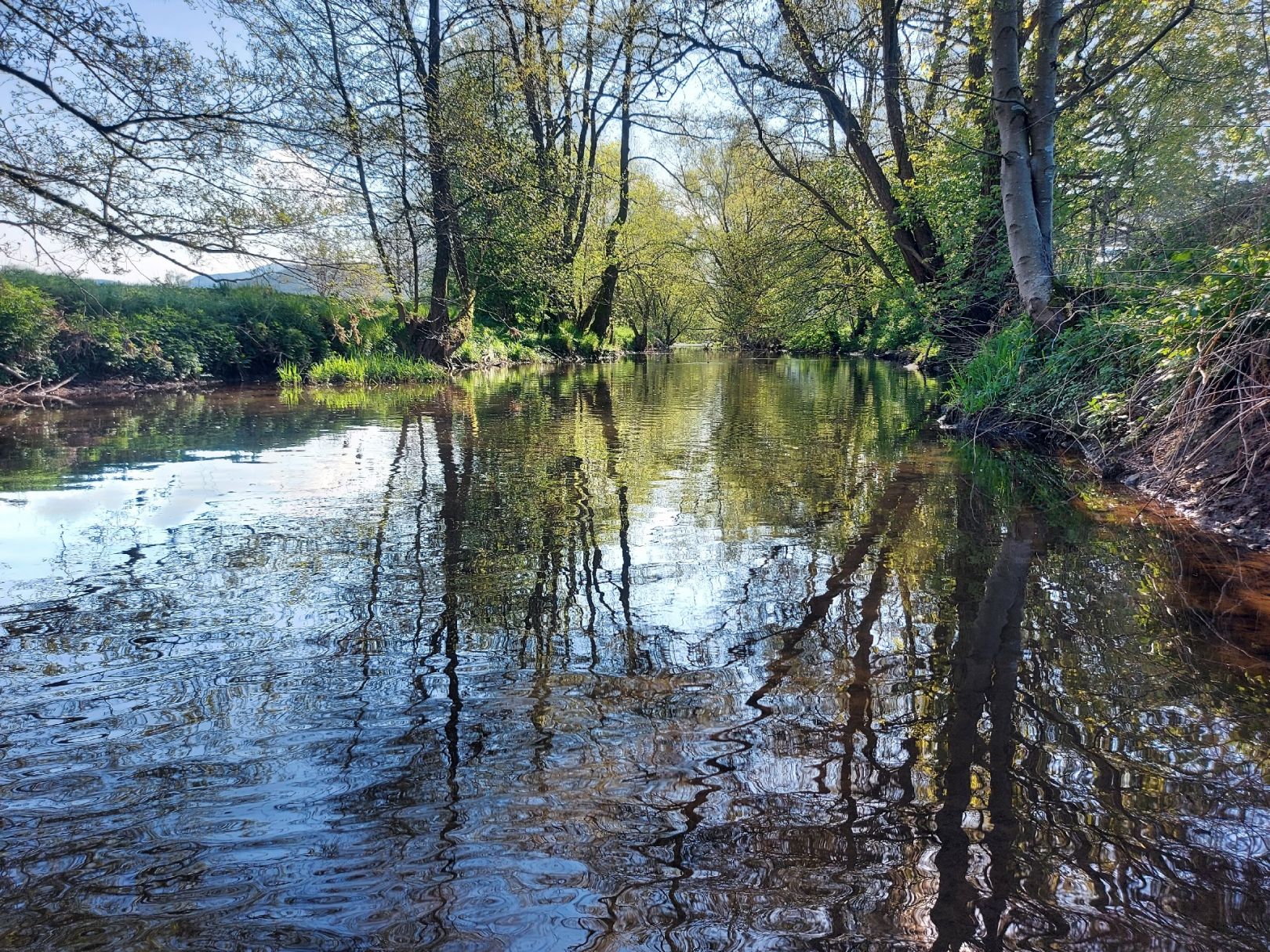 Angeln in Wilnsdorf