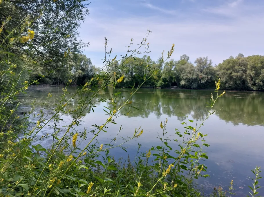 Autobahnweiher Dingolfing angeln
