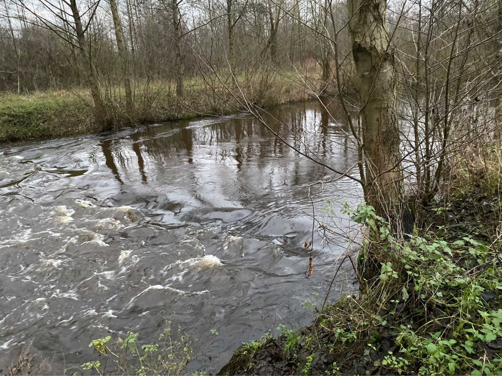 Wümme-Nordarm (Fischerhude) angeln