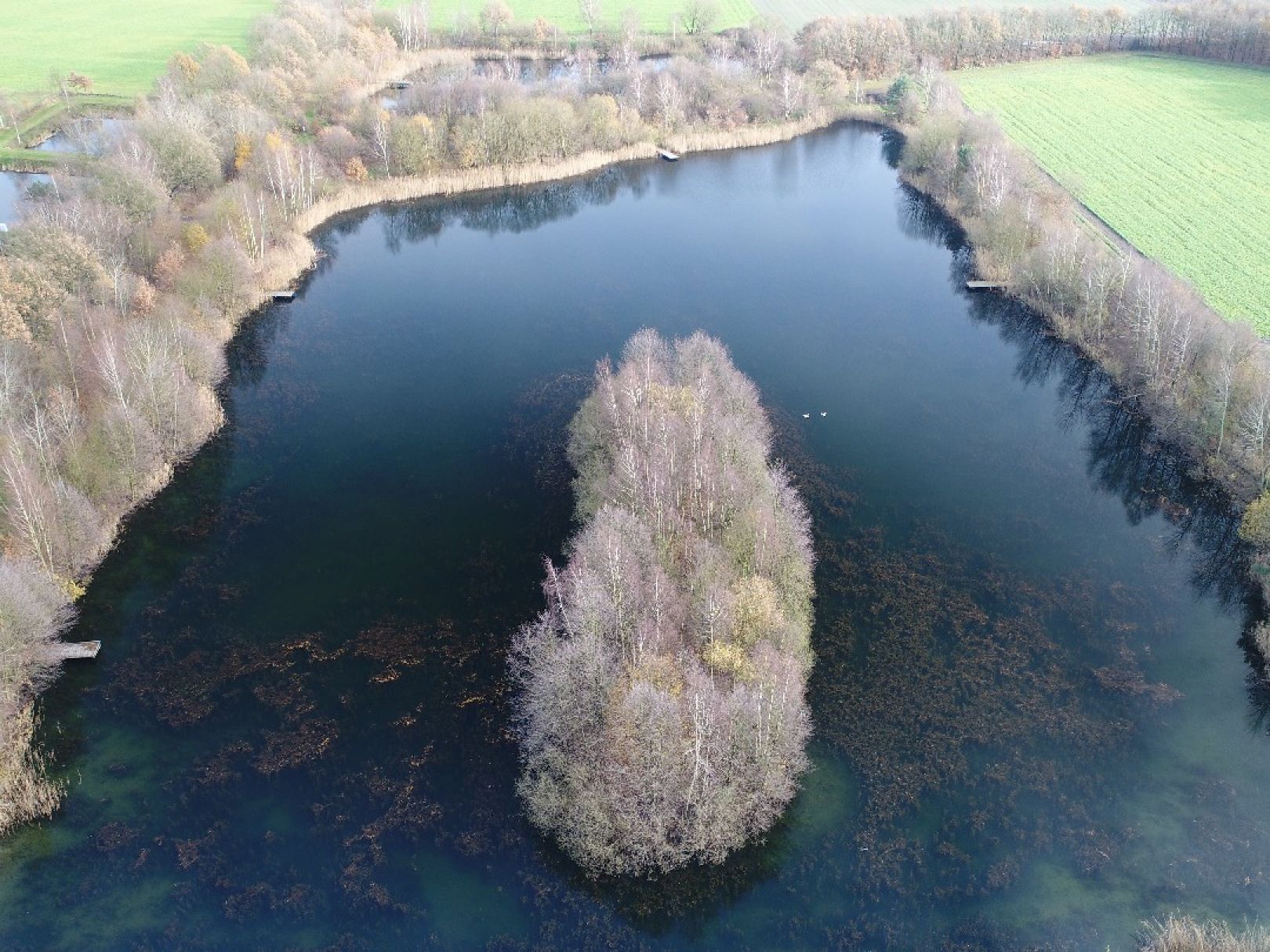 Großer Weidekampsee (Wahrenholz) angeln