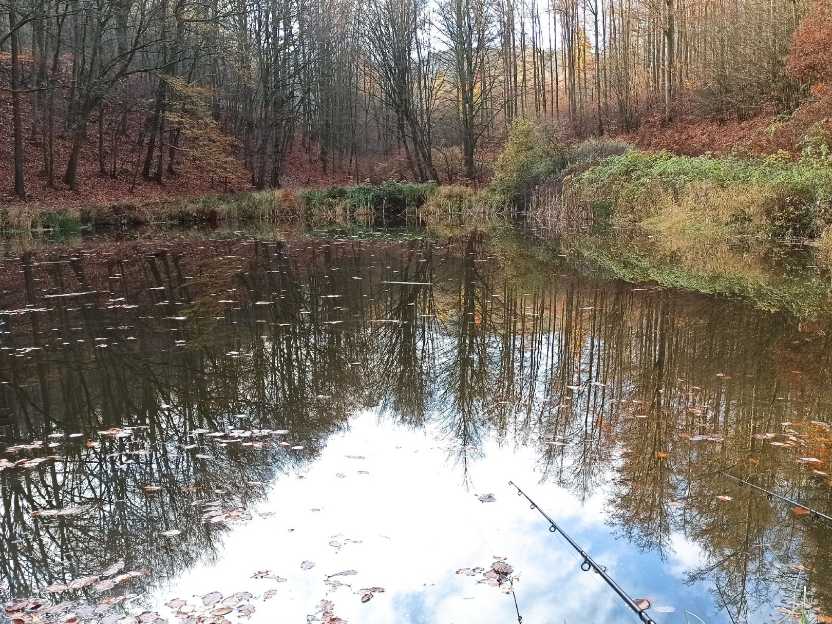 Teichanlage Brauertal angeln