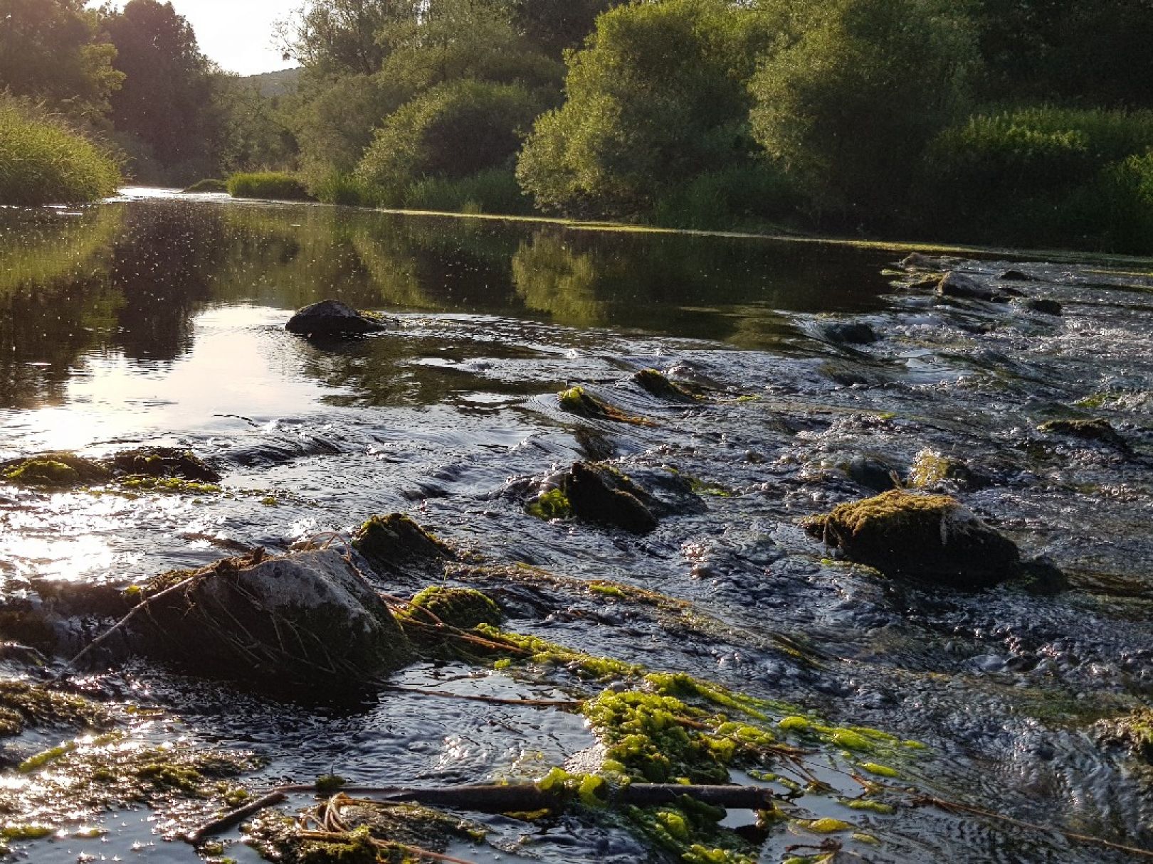 Angeln in Dillingen/Saar