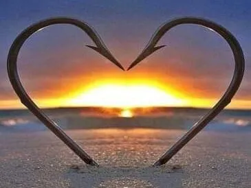 Habichtsee (Paderborn) angeln