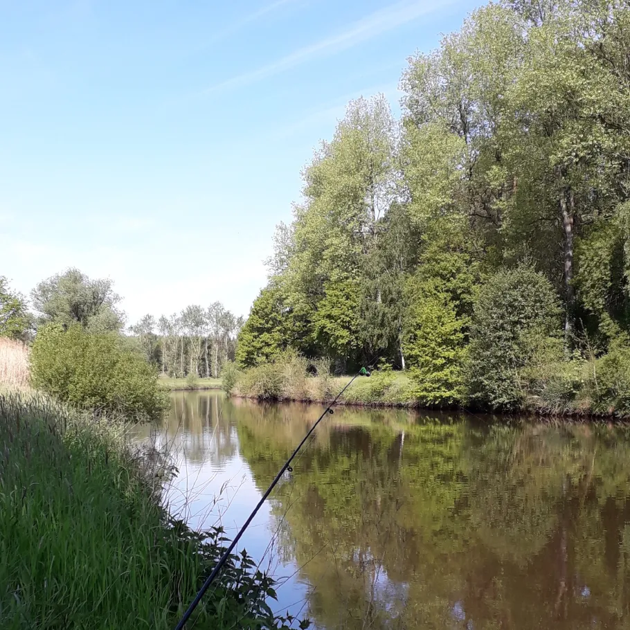 Hase (Meppen) angeln