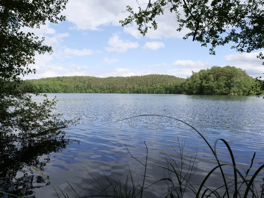 Wirchensee angeln