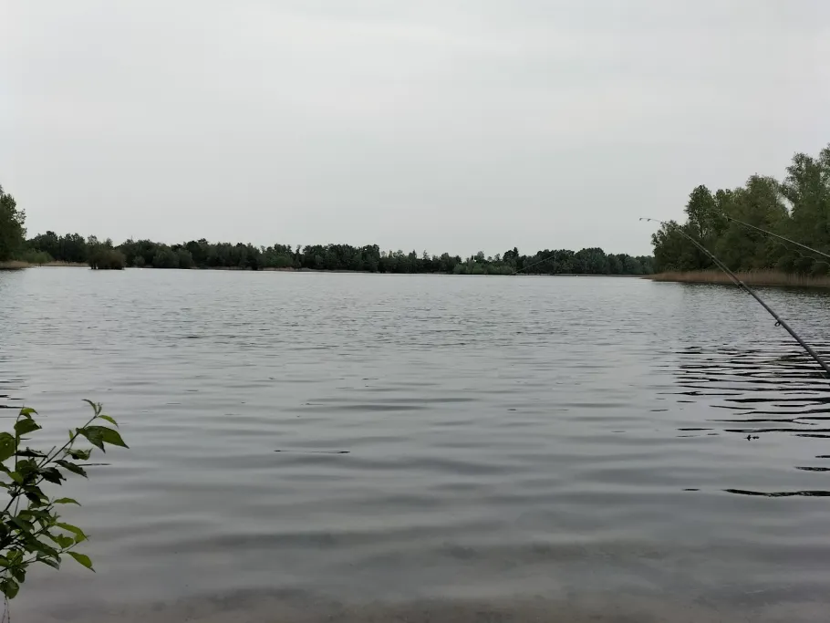 Baltussee (Barkhausen) angeln