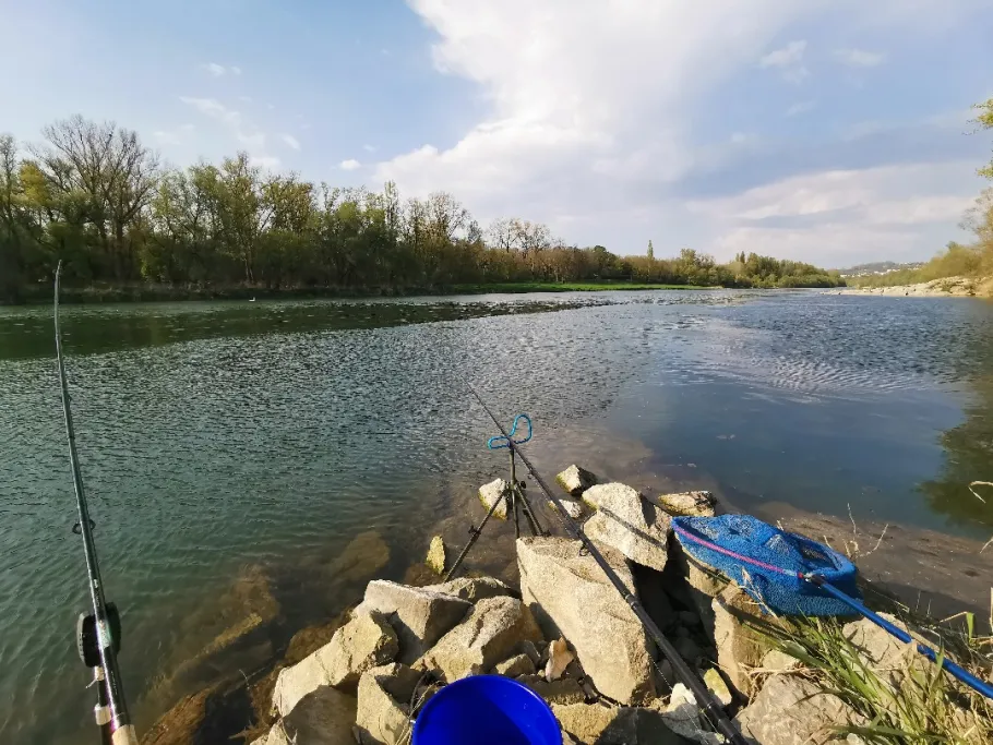 Rhein (Rheinweiler) angeln