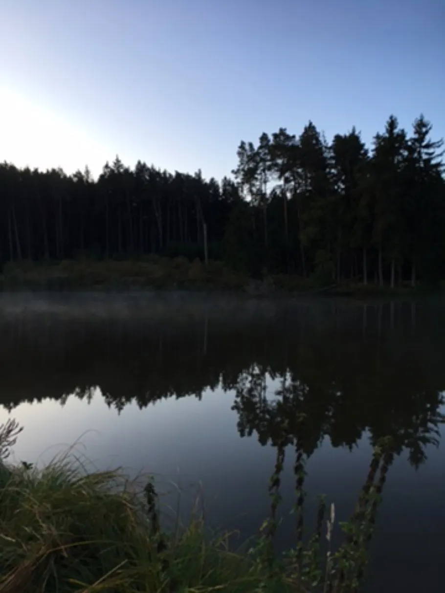 Gaugenweiher (Wört) angeln