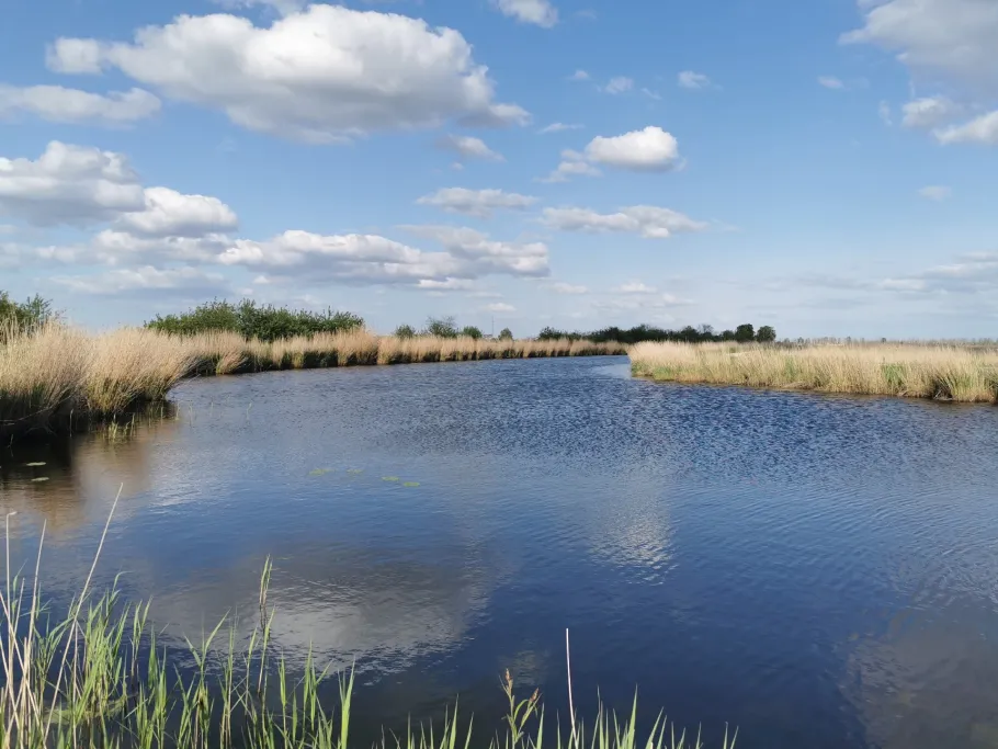 Rosenhagener Beck angeln