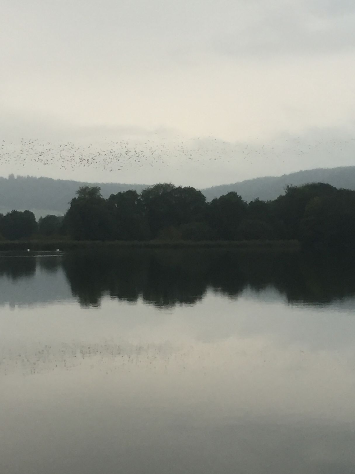Stausee Hohenfelden angeln