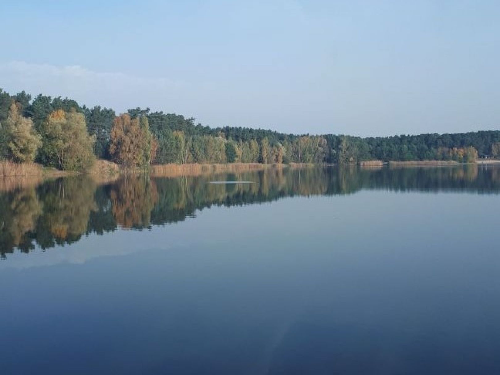 Kiessee Wischer (Stendal) angeln