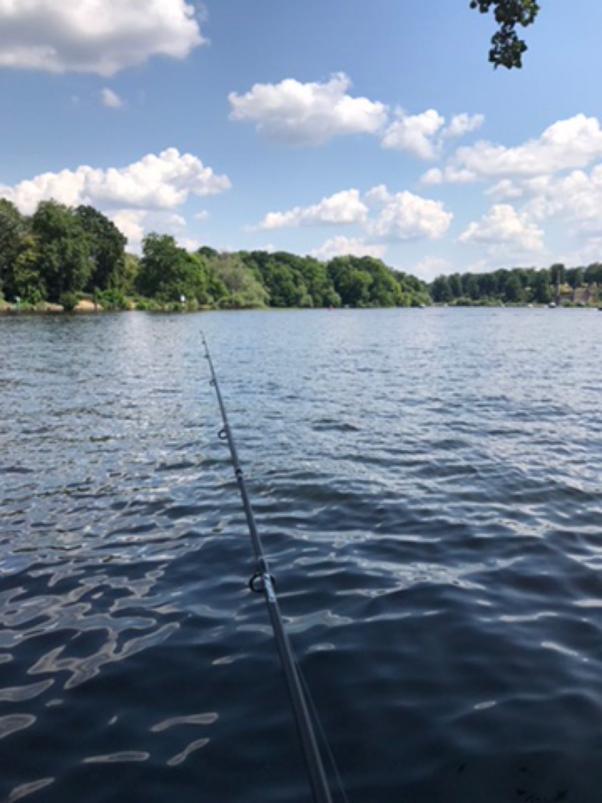 Glienicker See (Potsdam) angeln