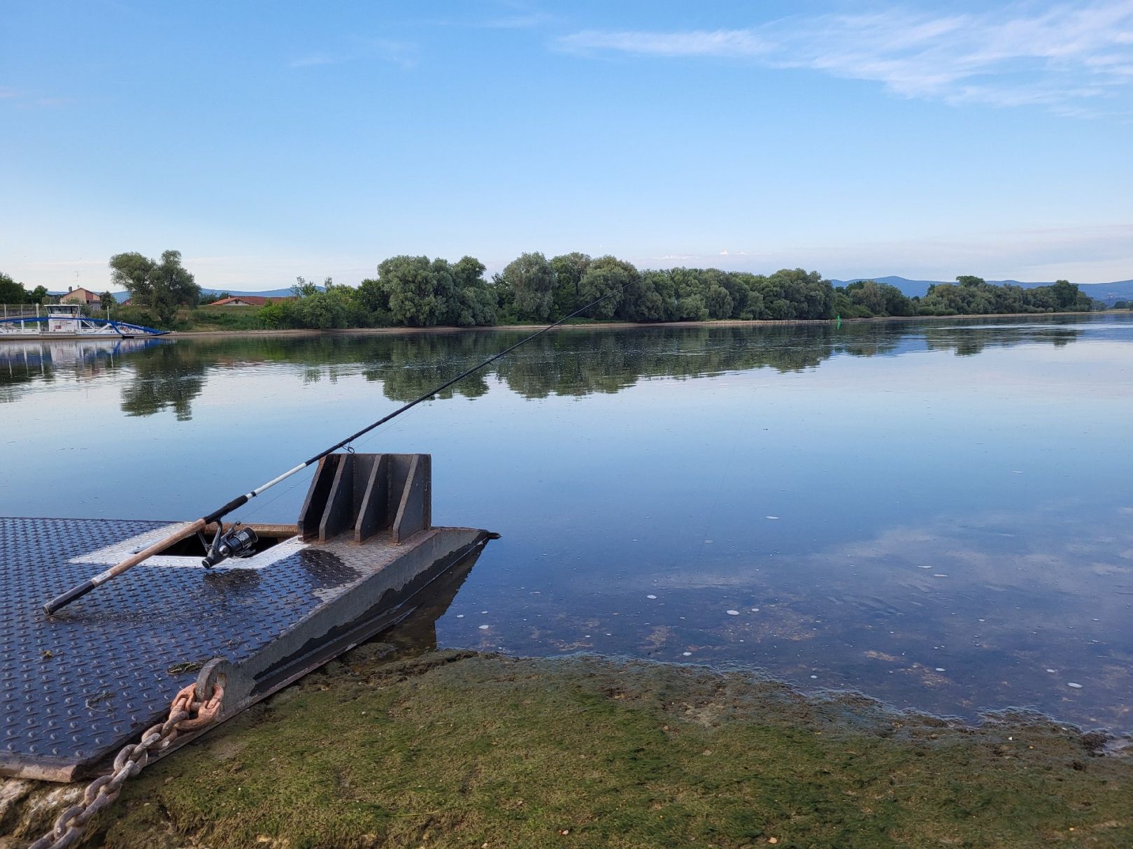 Donau (Stephansposching) angeln