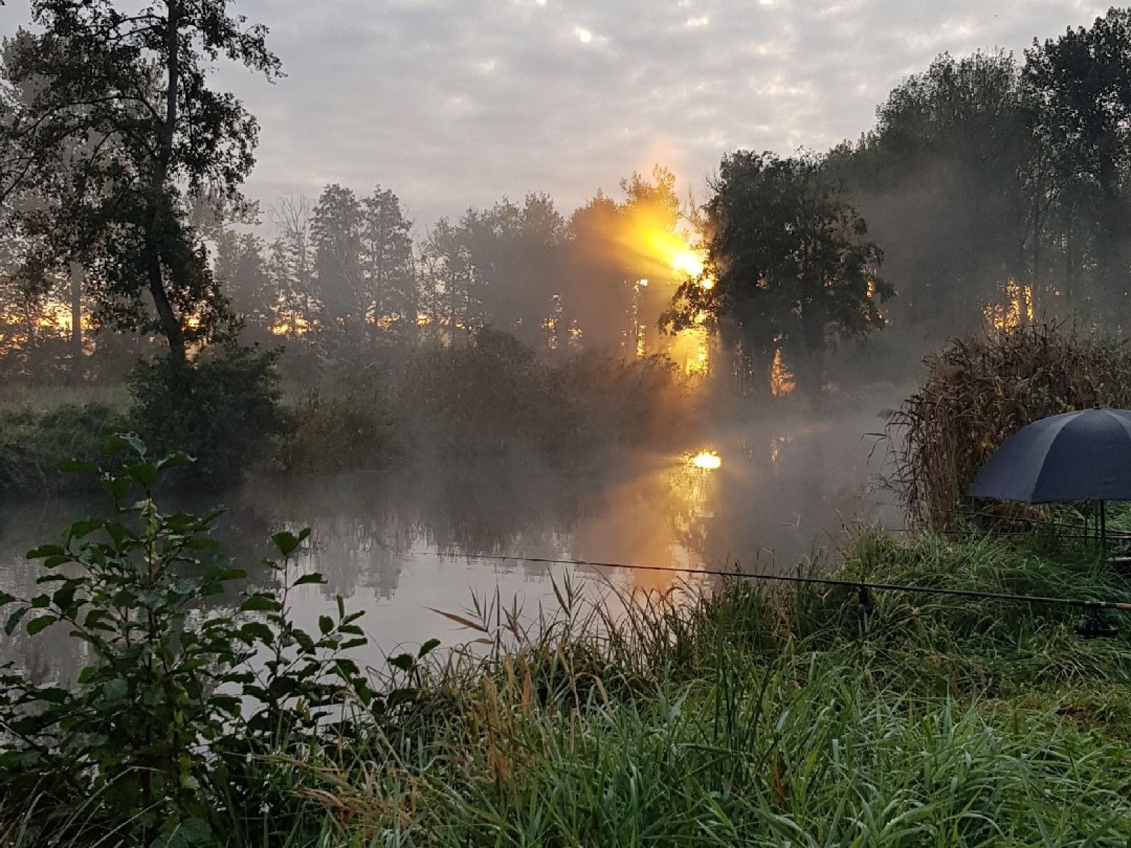 Angeln in Fehrbellin