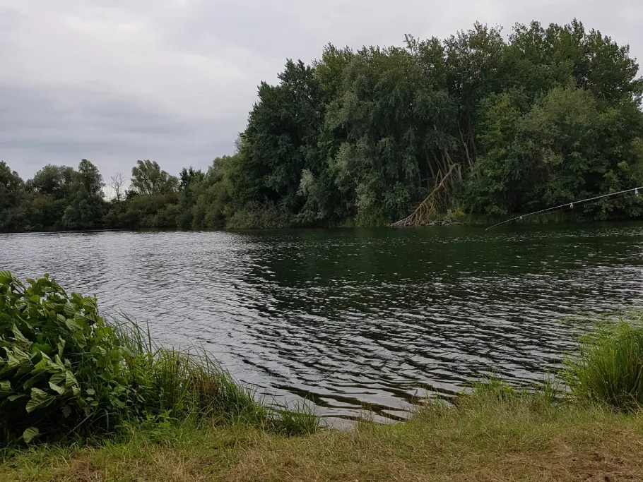 Wiedesee (Hoya) angeln