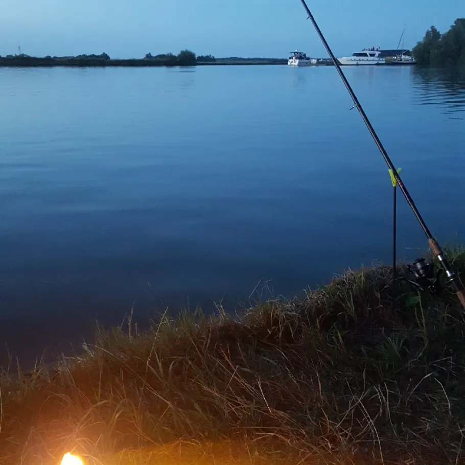 Sylroede (Lemmer) angeln