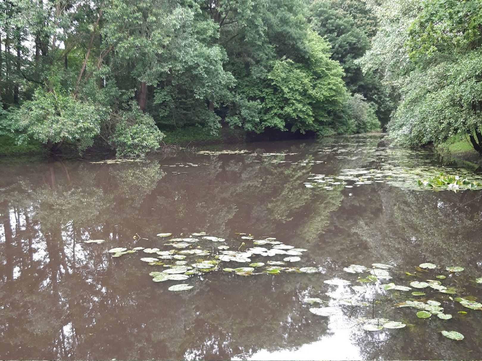 Rückhaltebecken Hummelsbüttel angeln