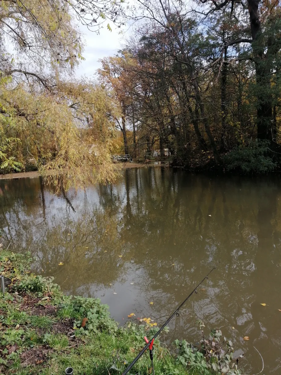 Stockteich (Hainspitz) angeln