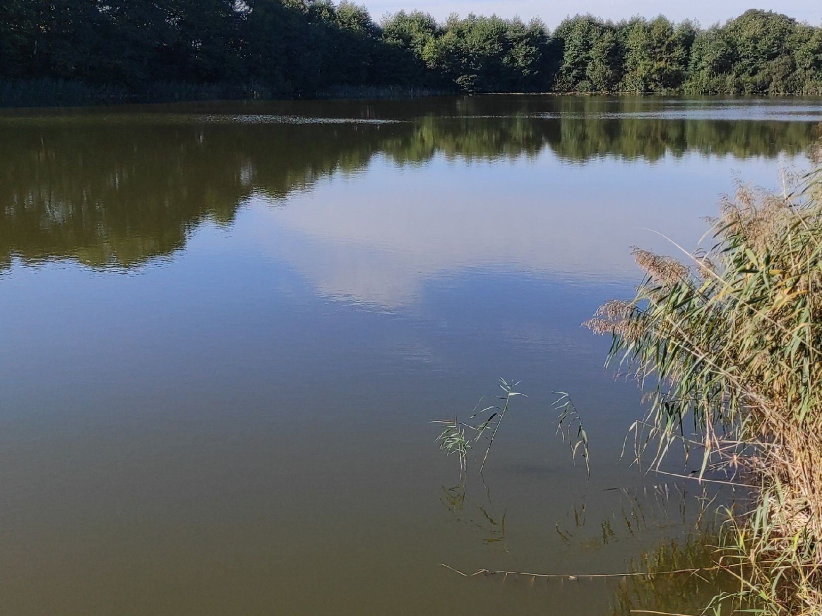 Wüstenmarker See angeln