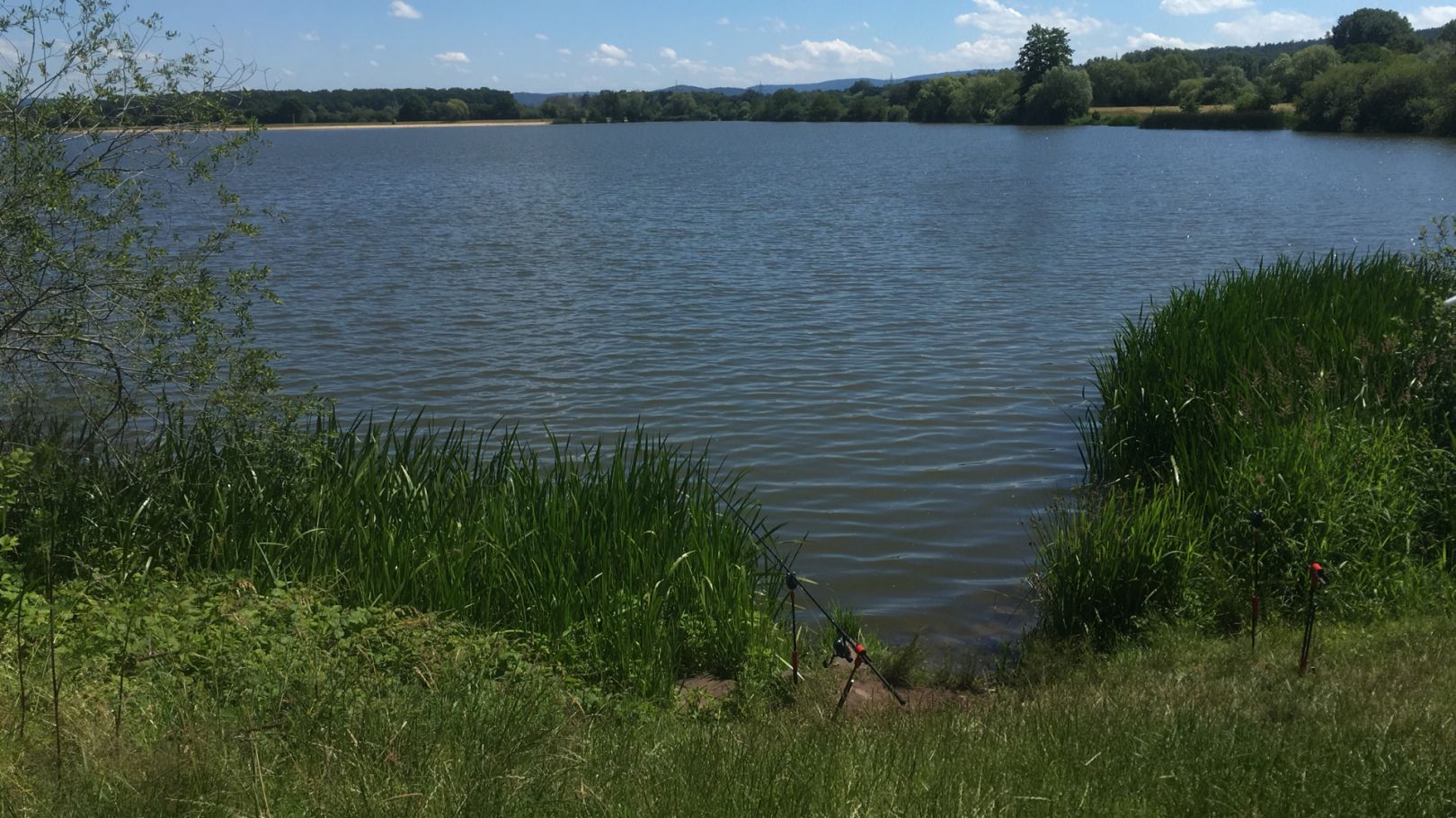 Kinzigsee (Langenselbold) angeln