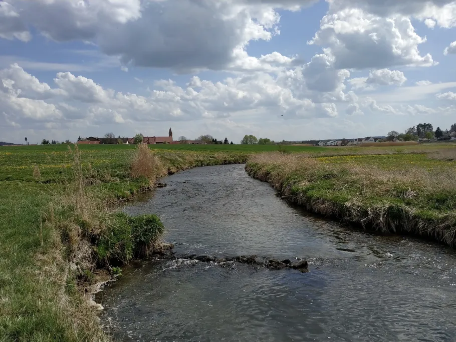 Kammel (Loppenhausen) angeln