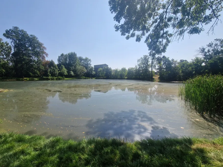 Dorfteich Bründel angeln