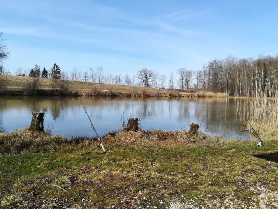 Waldsee Monheim angeln