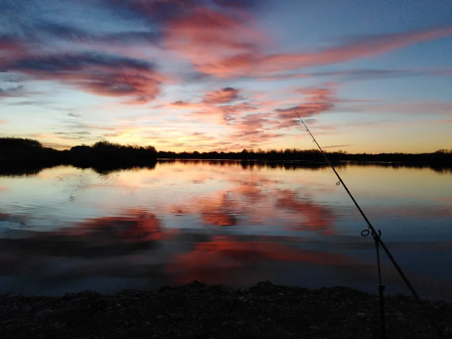 Hollerner See (Eching) angeln
