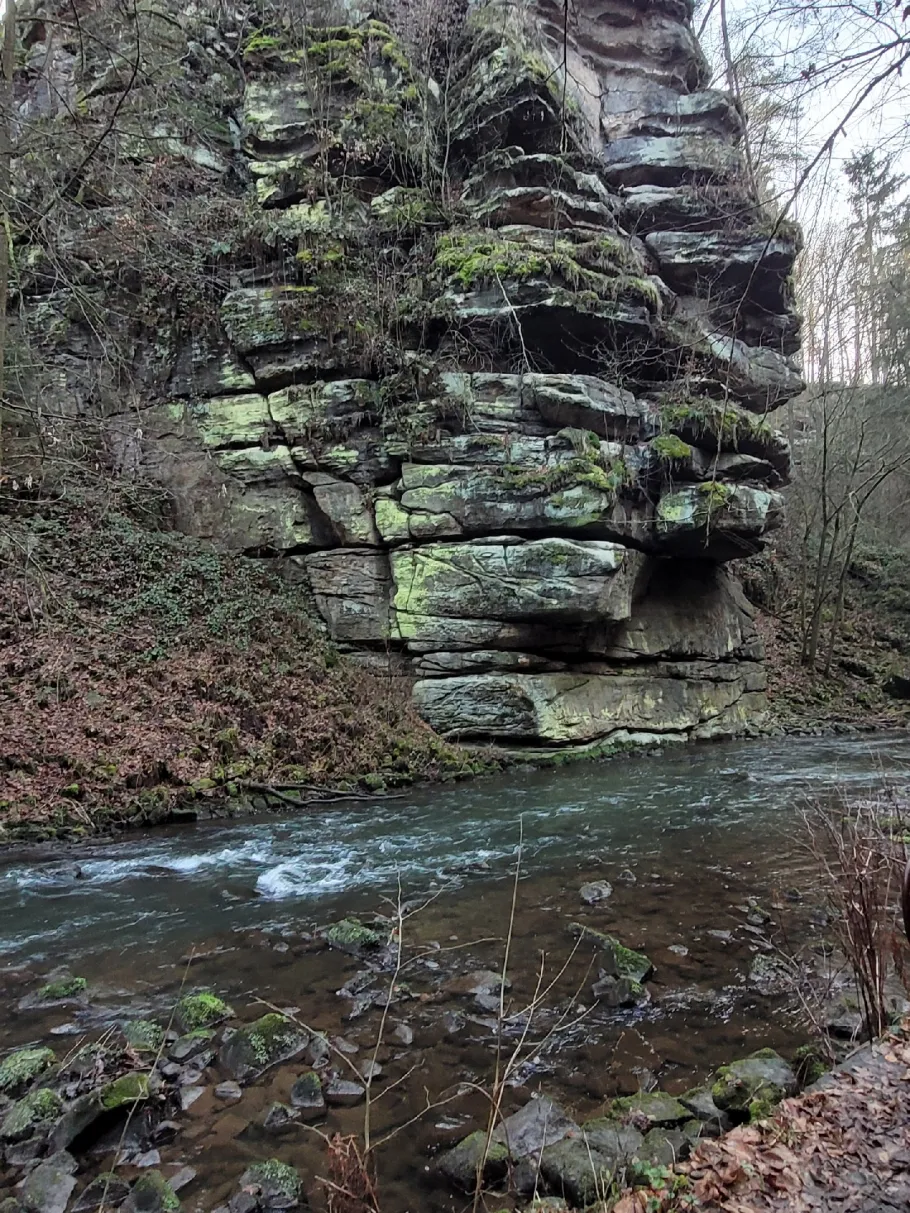 Wesenitz (Lohmen) angeln