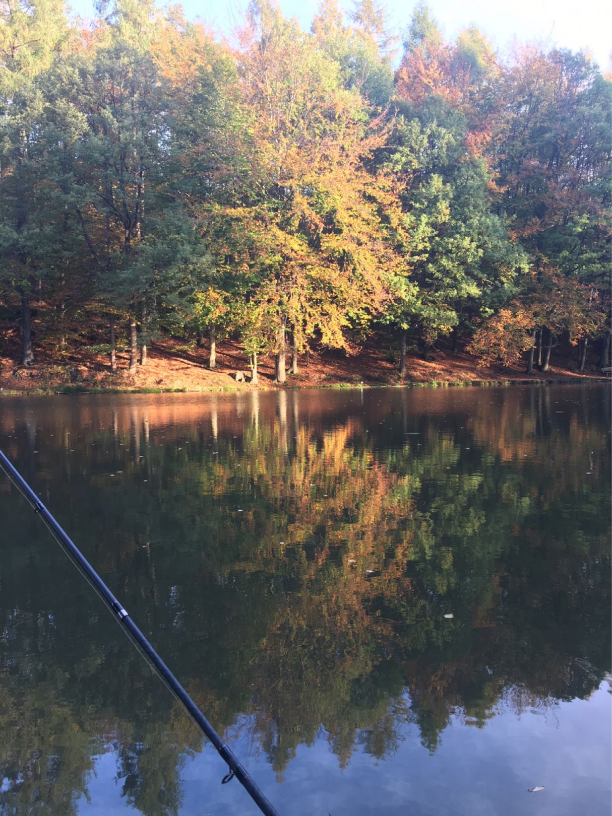 Kadettenweiher angeln