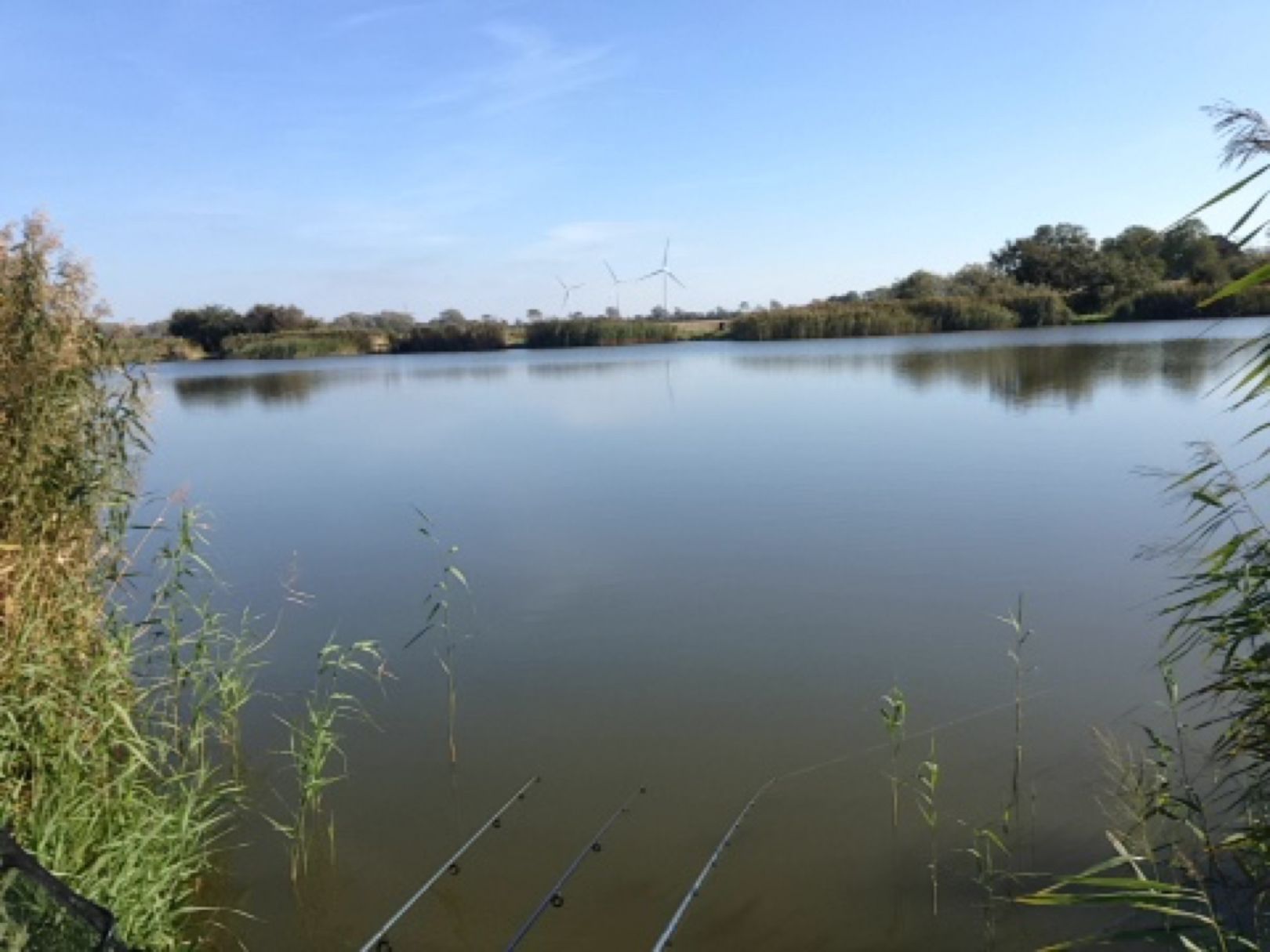 Dritte Wehle (Niebüll) angeln