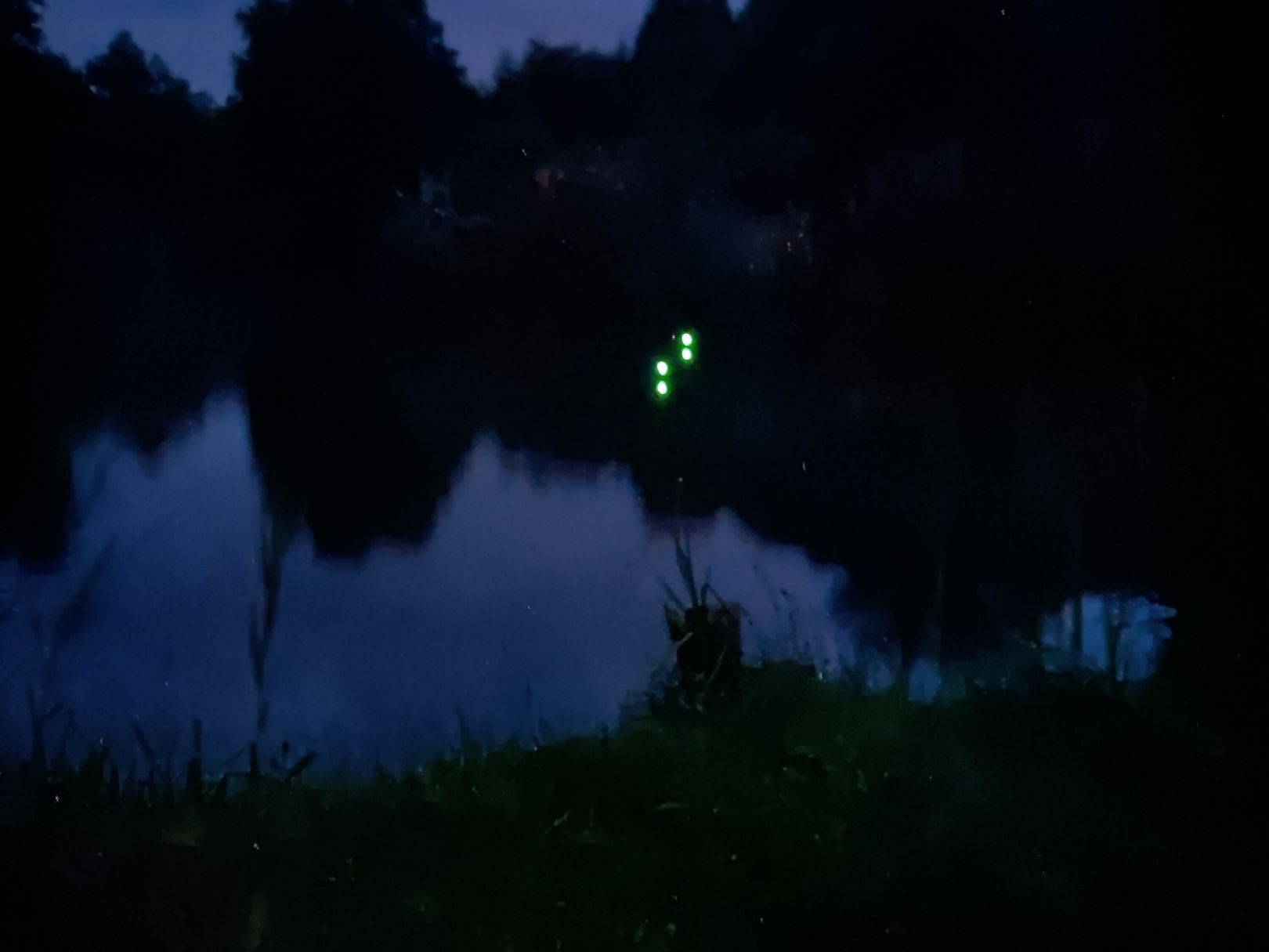 5 Teiche am Ipser Weg angeln