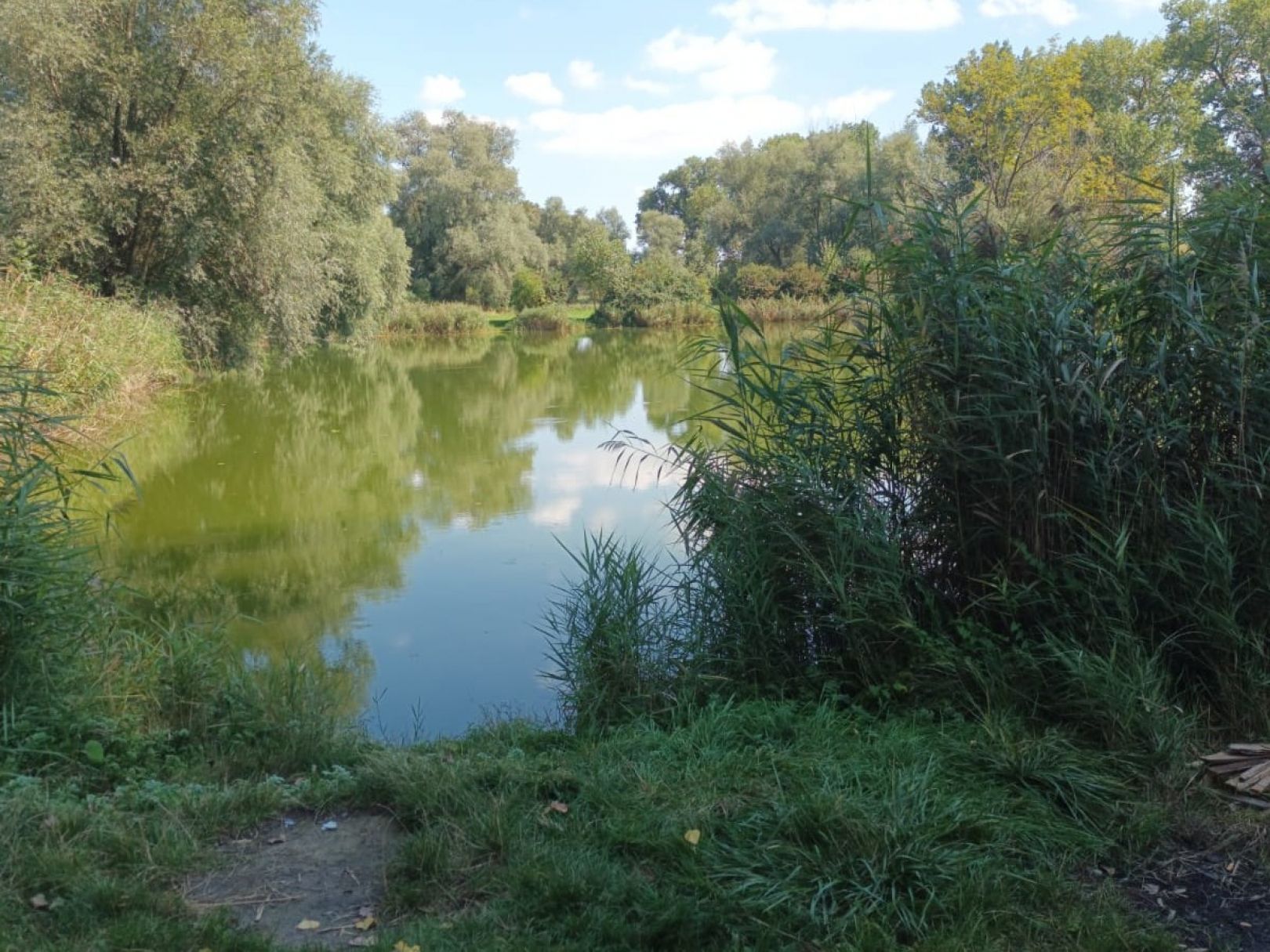 Hopfenteich (Bad Langensalza) angeln