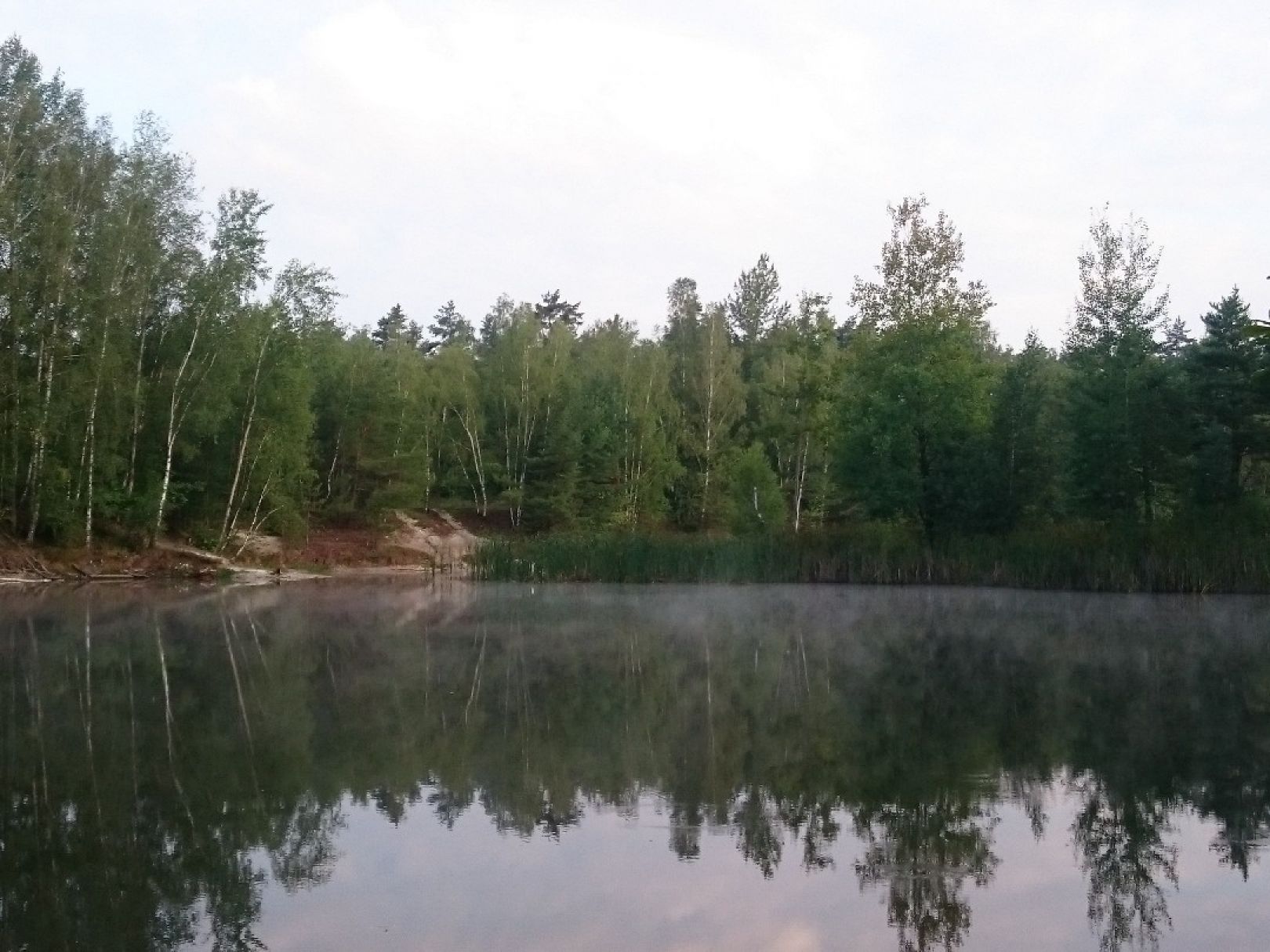 Formsandgrube Steinbach angeln