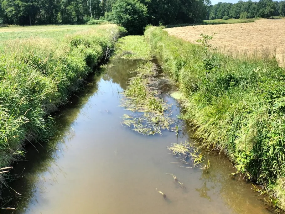 Schwarzwasser (Müden/Aller) angeln