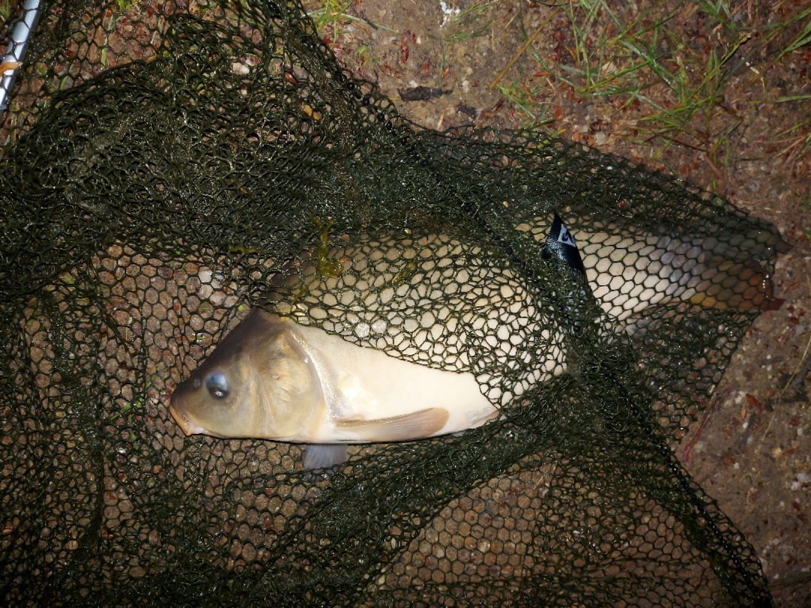 Kiessee Gerstenberg angeln
