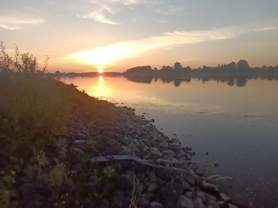 Elbe (Cumlosen) angeln