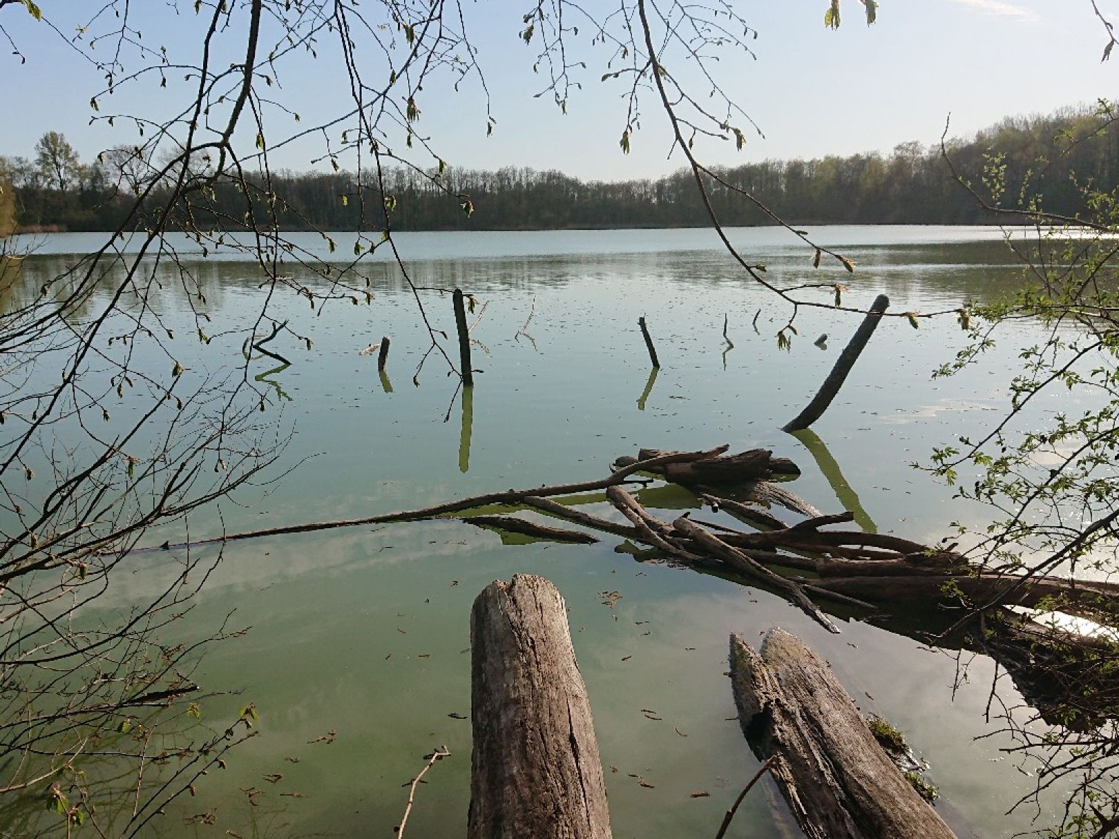Drachensee (Kiel) angeln