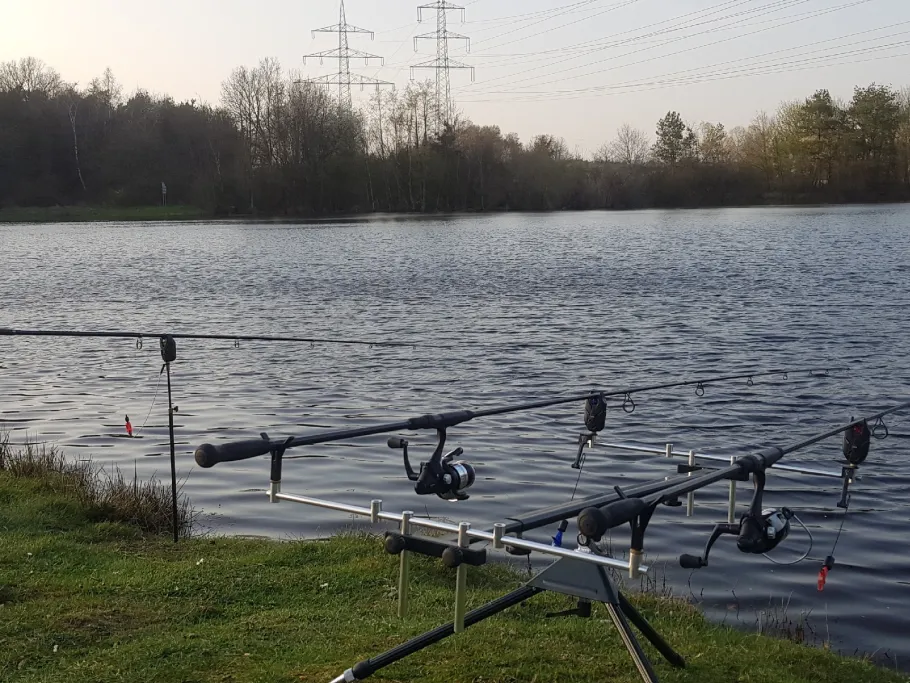 Peter-Beckmann-Teich angeln