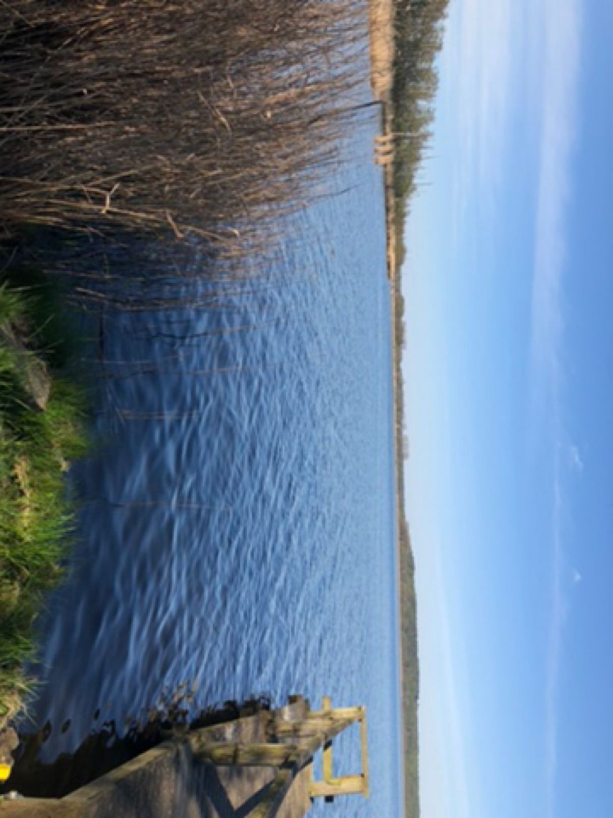 Schmollensee angeln
