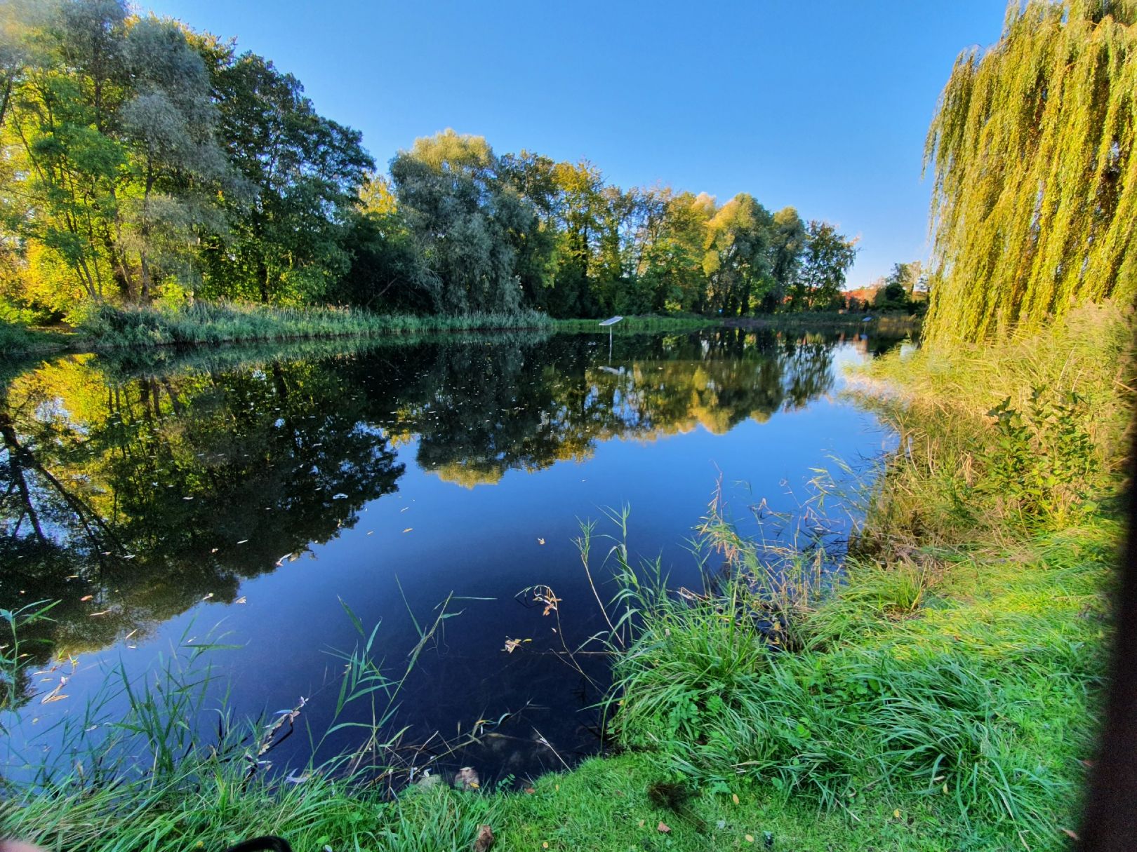 Rohrteich (Jüterbog) angeln