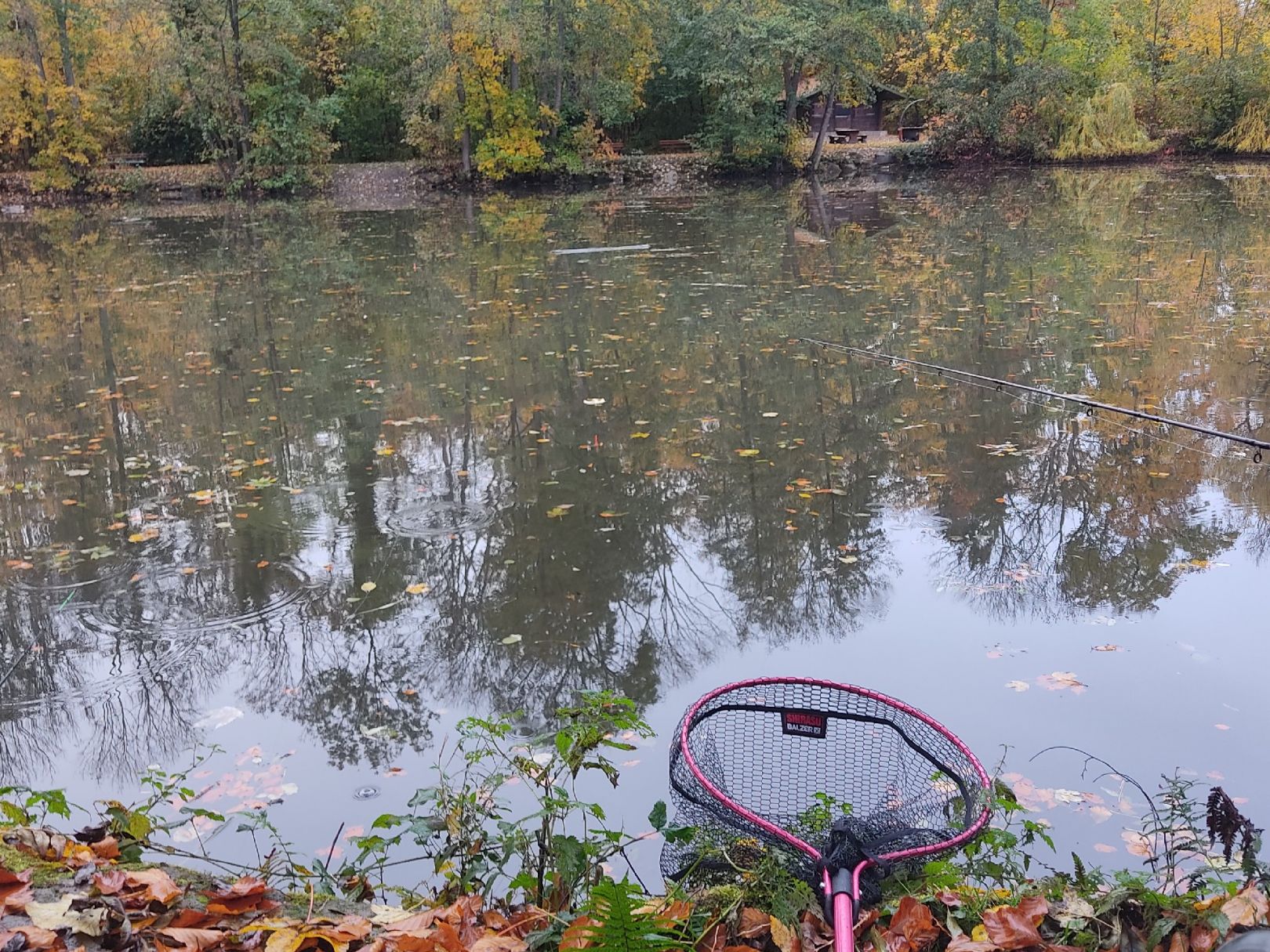 Waldsee Hilsbach angeln
