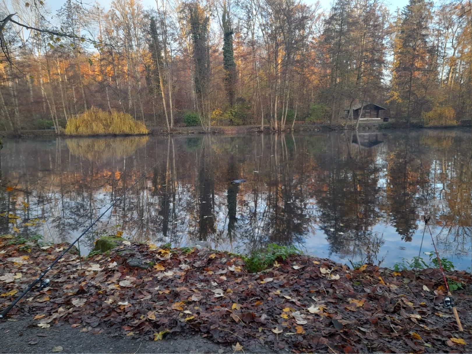 Waldsee Hilsbach angeln