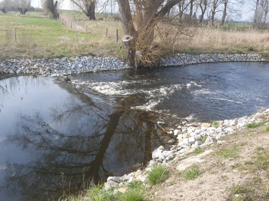Welsengraben (Gransee) angeln